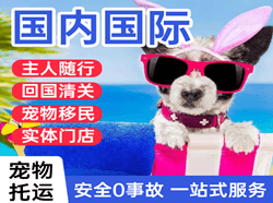 呼伦贝尔海拉尔航空邮寄国际宠物托运 【国